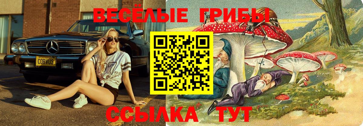 Галлюциногенные грибы MAGIC MUSHROOMS Зерноград