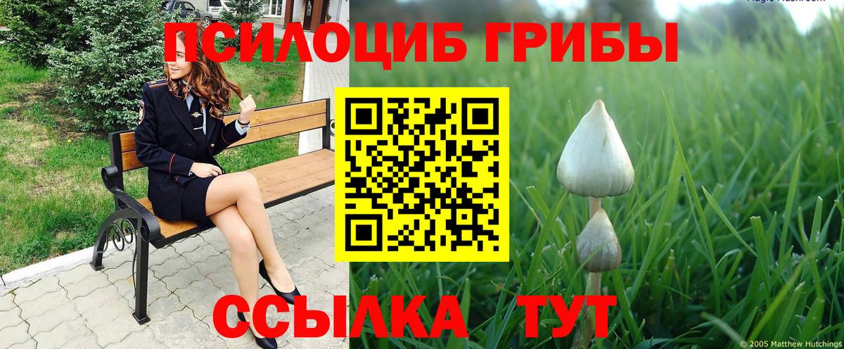 Зерноград  Галлюциногенные грибы мухоморы  Вход с VPN 